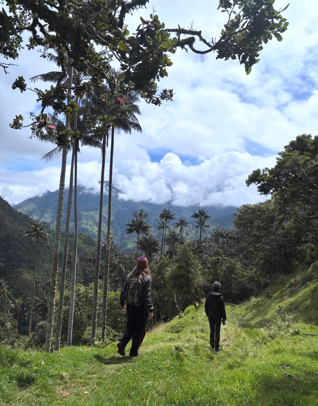 Caminata guiada por senderos naturales de La Carbonera