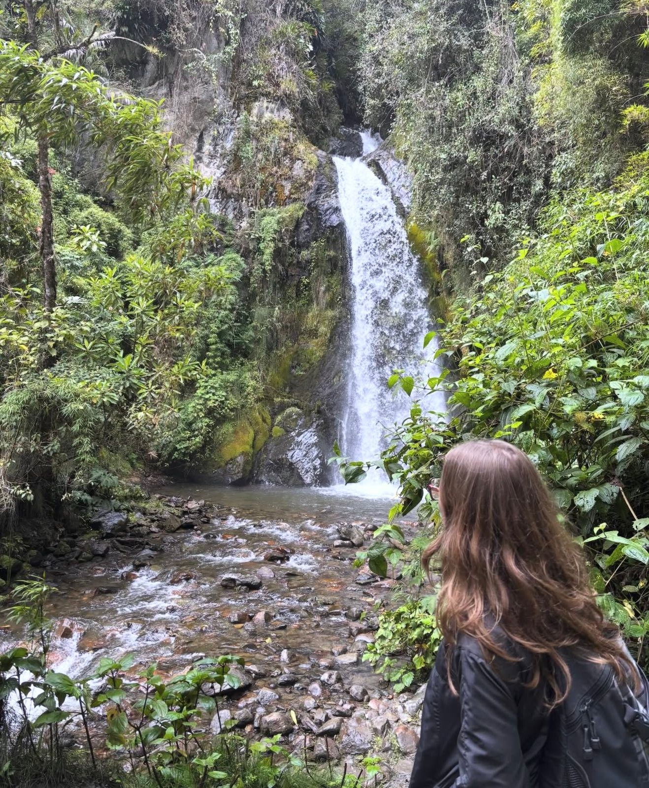 Cascada oculta en La Carbonera, Quindío